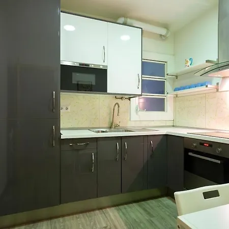 111tt73obc4e-apartment With Terrace Sant Antoni Lejlighed Barcelona