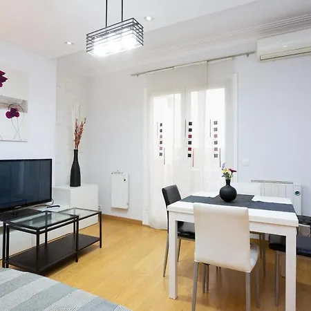 111tt73obc4e-apartment With Terrace Sant Antoni * Barcelona